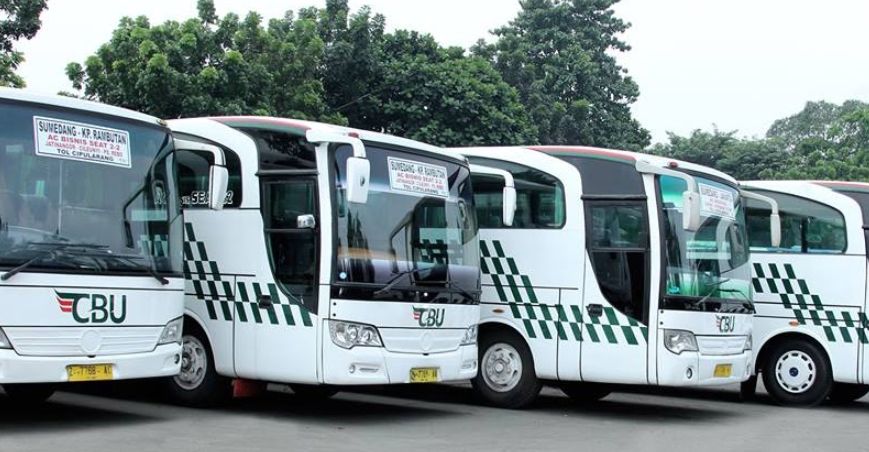 info bus cbu hari ini 2021