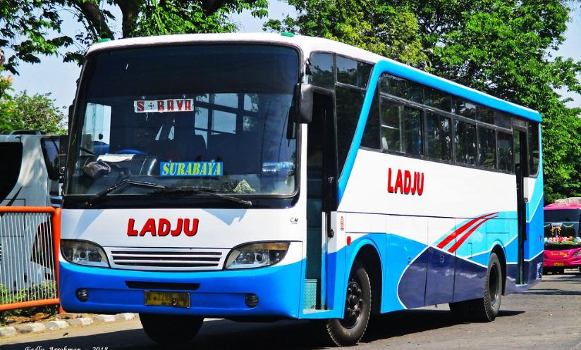 jadwal bus ladju surabaya -banyuwangi 2021