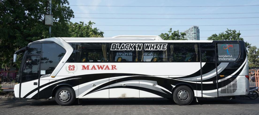 jadwal bus mawar jakarta surabaya