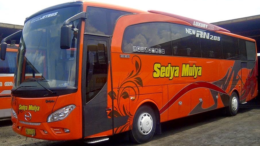 Sekilas Terkait Bus Sedya Mulya