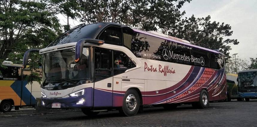 agen bus putra rafflesia