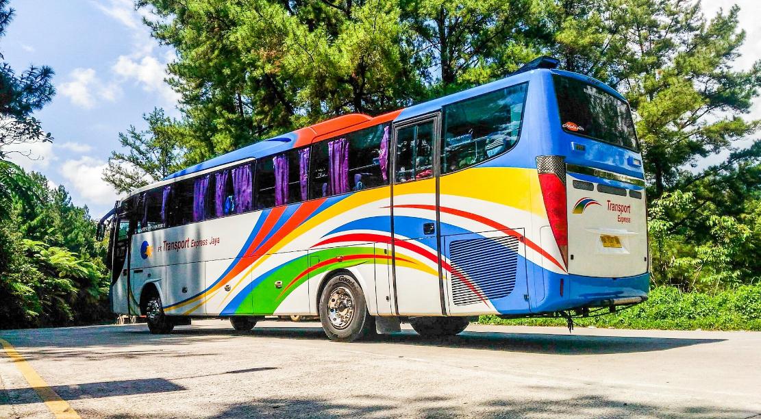 bus transport express terbaru