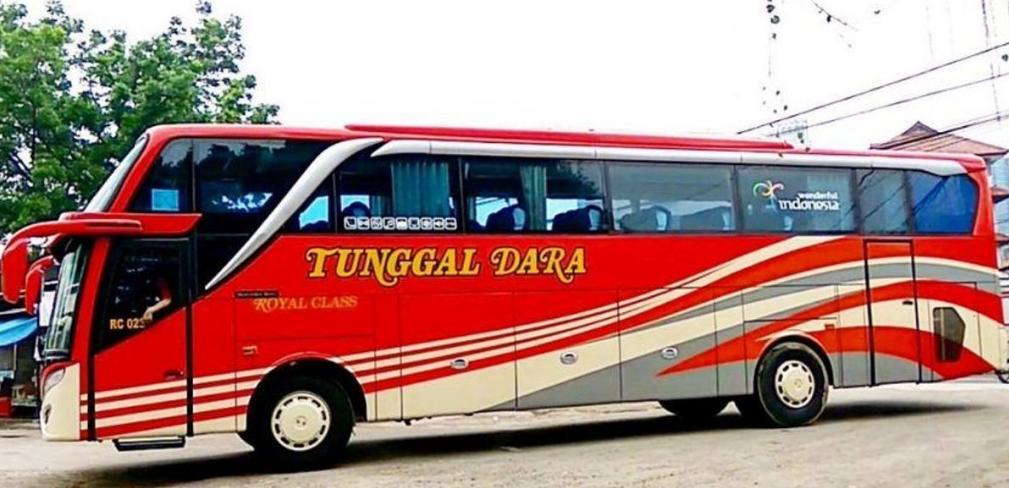 fasilitas bus tunggal dara executive