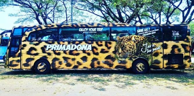 harga bus primadona makassar toraja