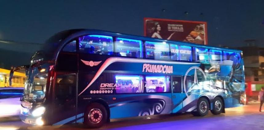 jumlah armada bus primadona