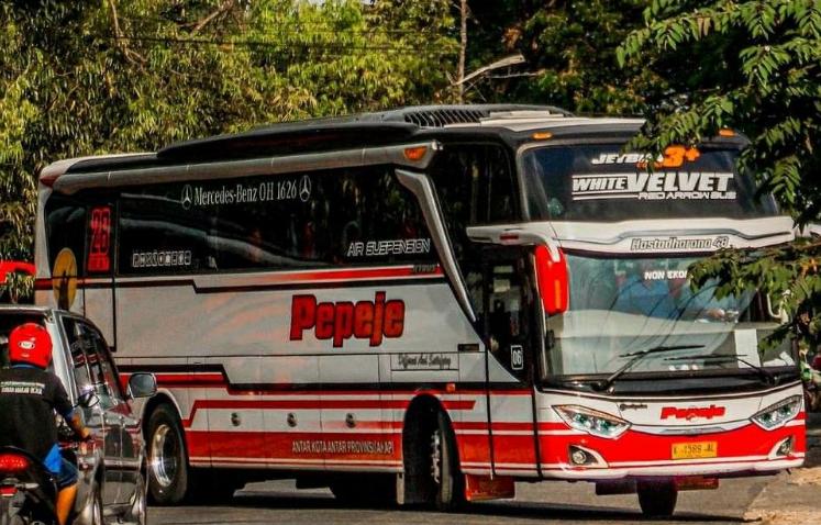 pemilik bus pepeje