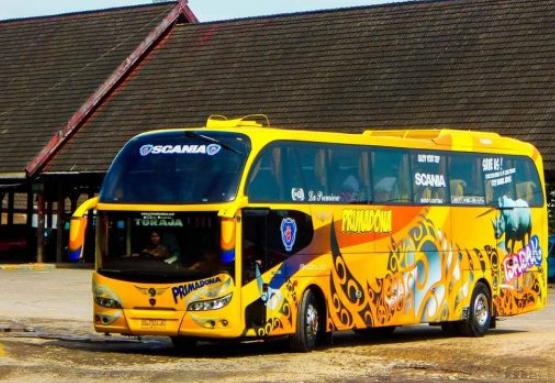 pemilik bus primadona