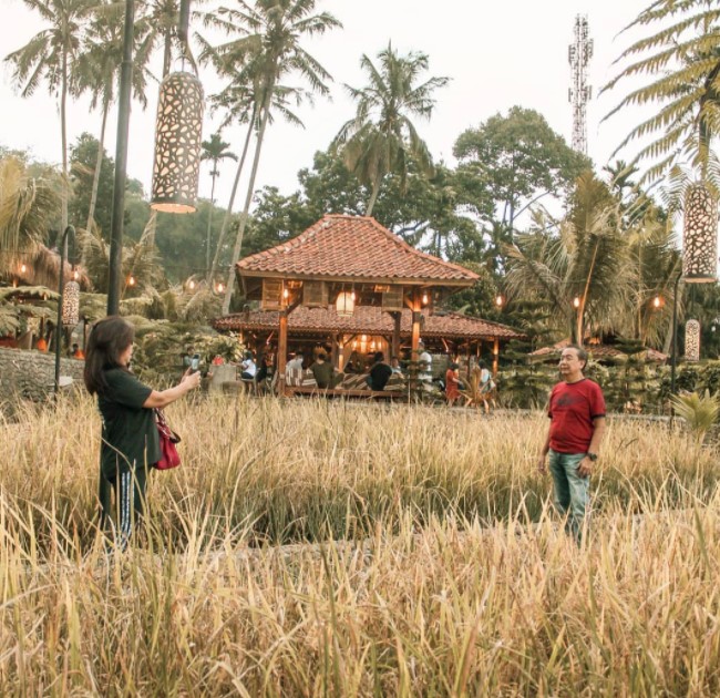 Ngopi di Sawah Sentul