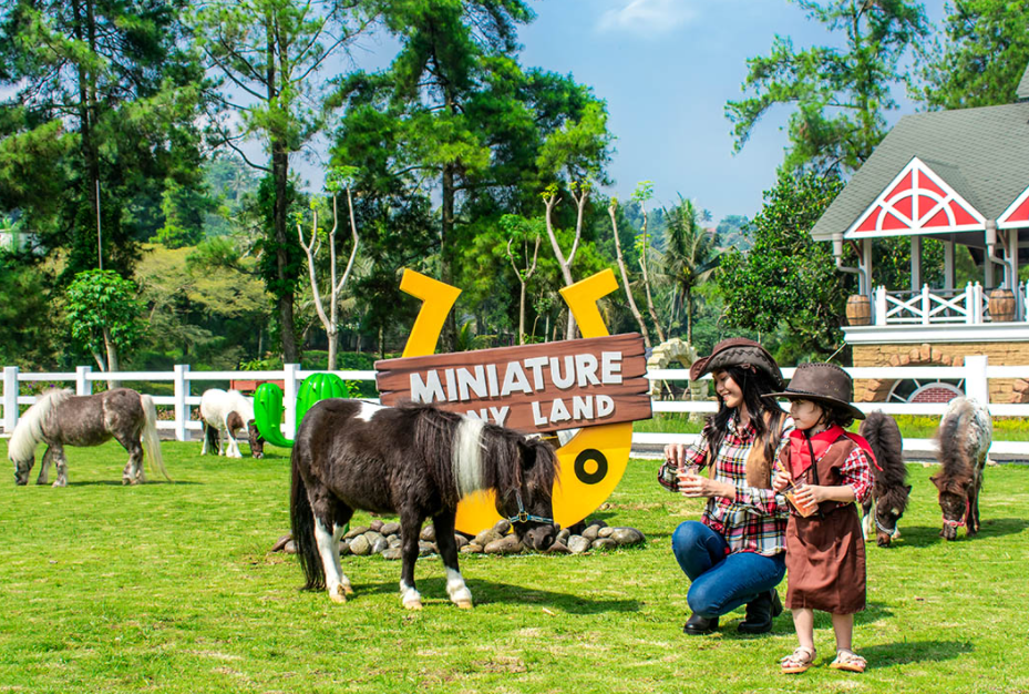 Wahana Miniature Pony Land Cimory