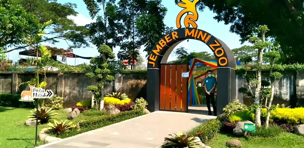 tiket jember mini zoo