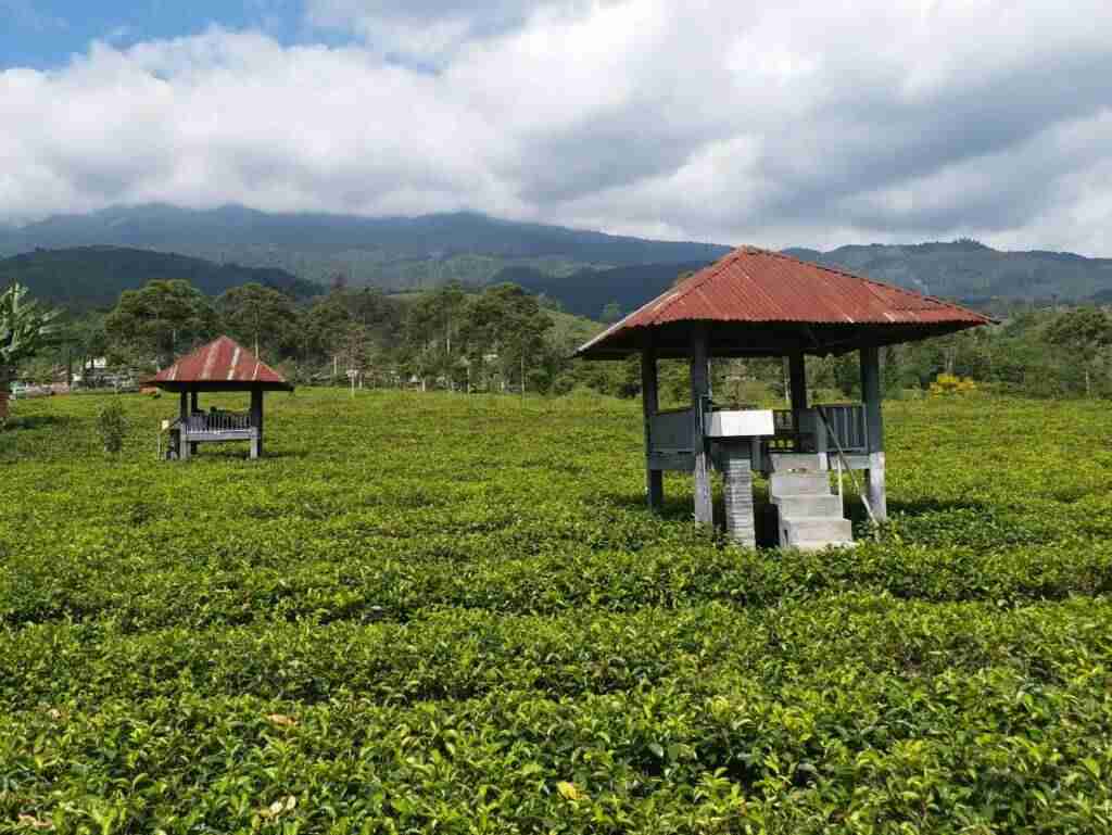 Fasilitas Kebun Teh Kemuning