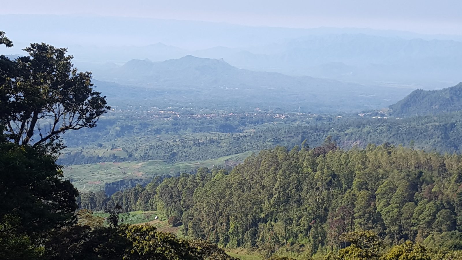 Harga Tiket Masuk Cemoro Kandang