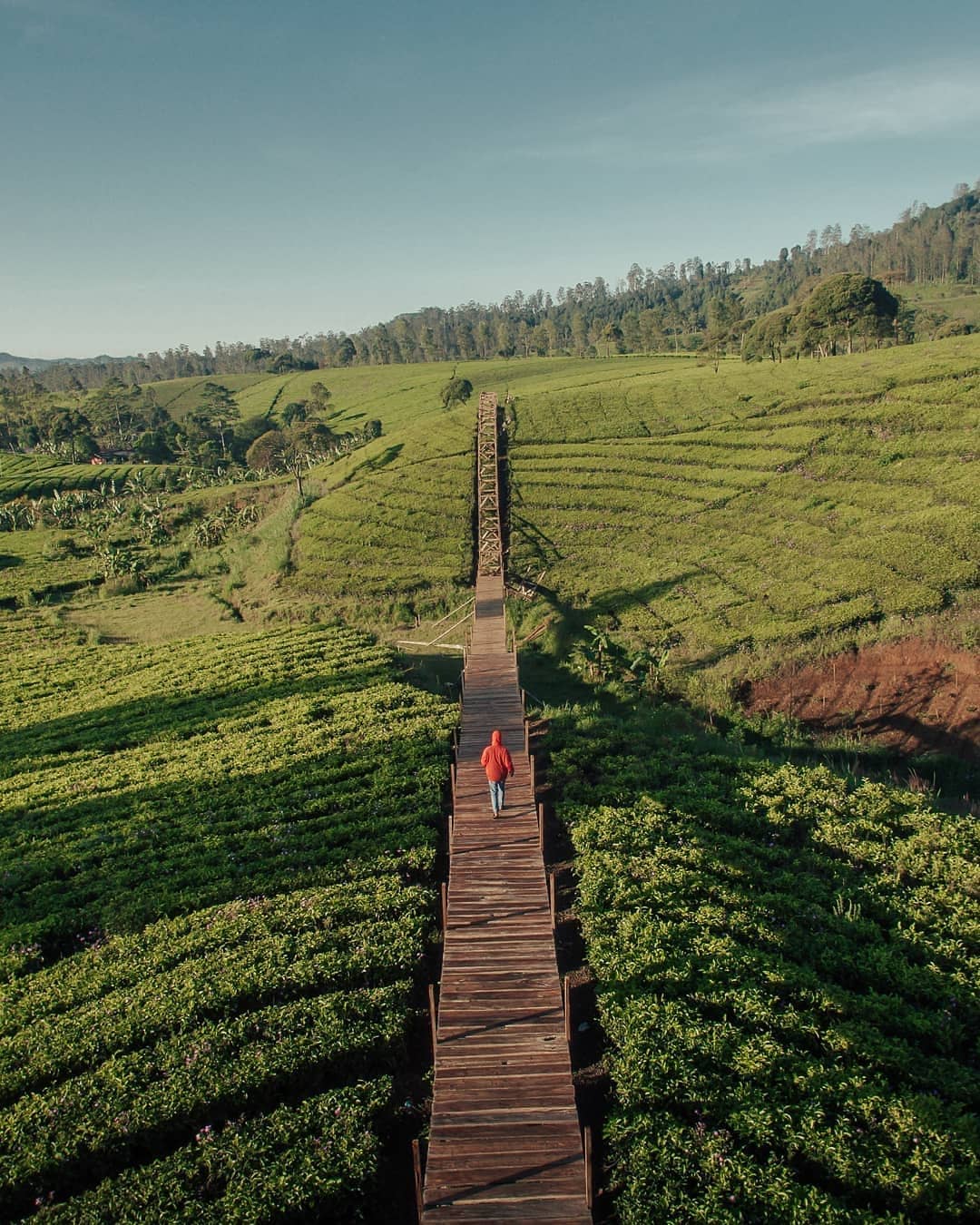 Harga Tiket Masuk Riung Gunung