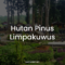 Hutan Pinus Limpakuwus