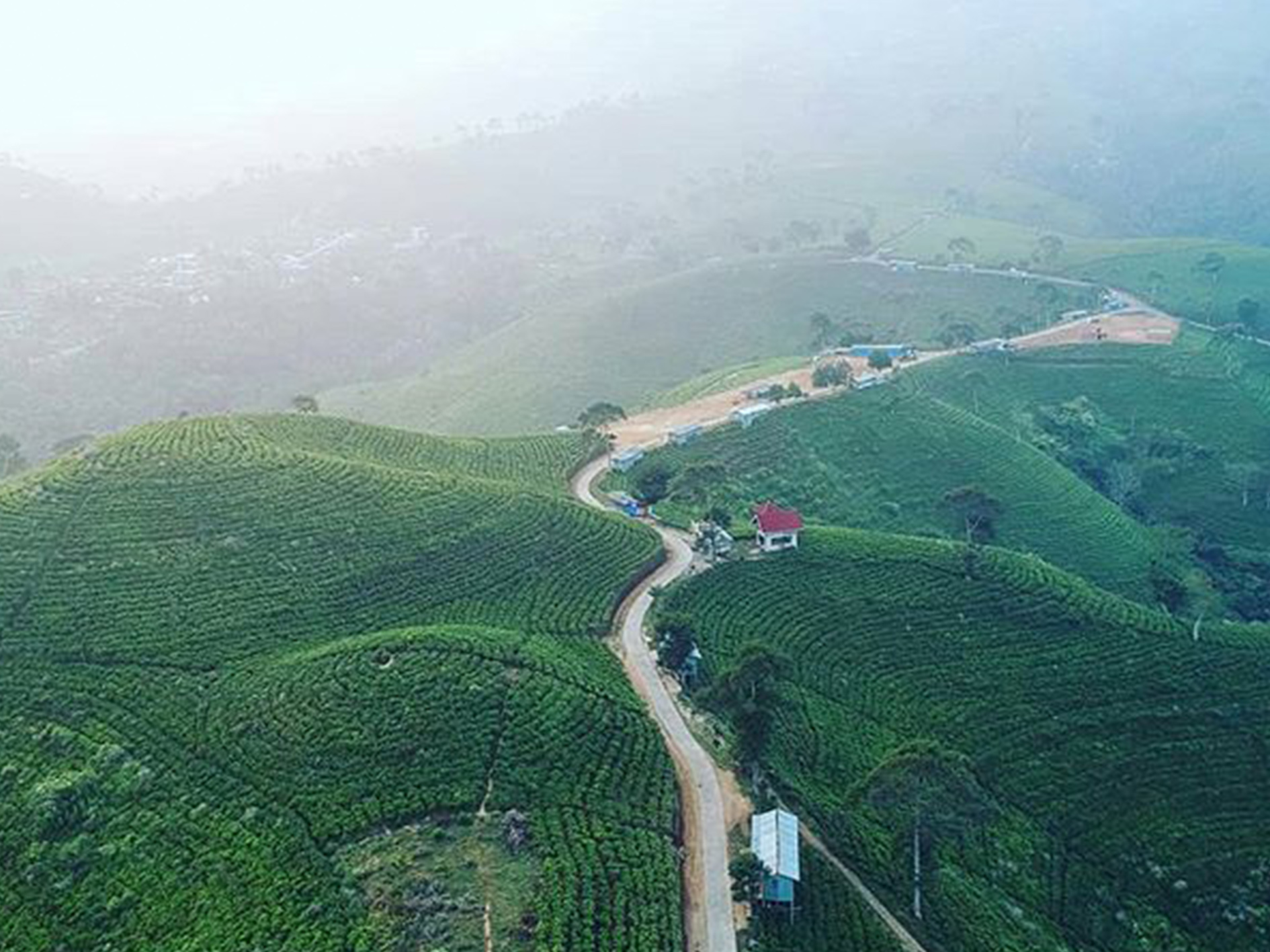 Jam Buka Kebun Teh Kemuning