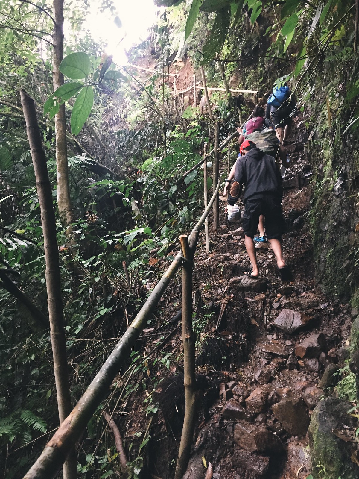 Lokasi dan Rute Curug Ciampea