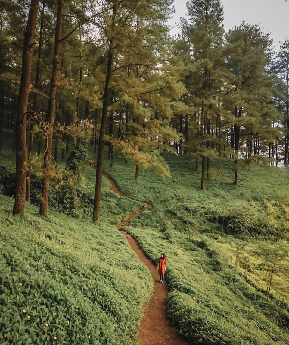 Lokasi dan Rute Limpakuwus