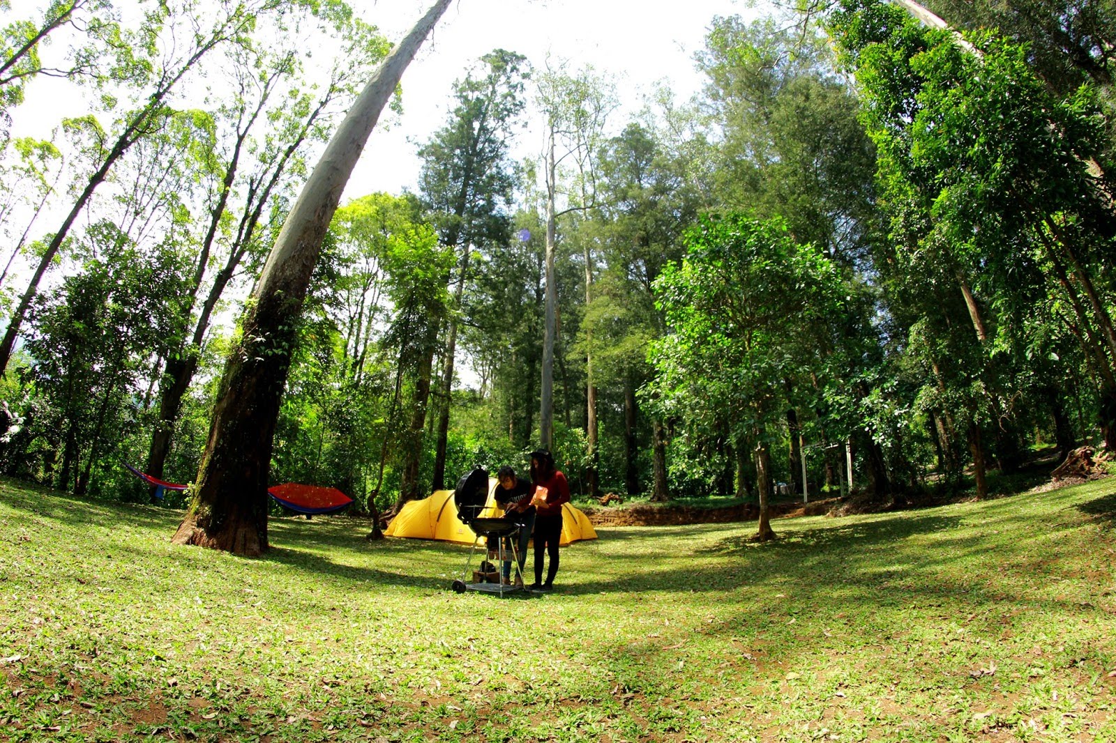 Lokasi dan Rute Mojosemi Forest Park