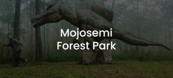 MOJOSEMI FOREST PARK: Aktivitas & Tiket Masuk 2022