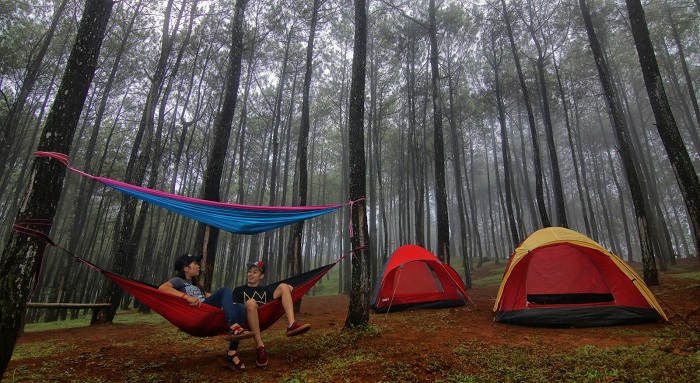 hutan pinus jogja